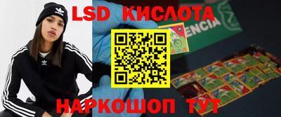 индика Партизанск