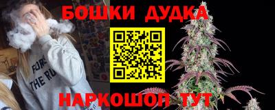 индика Партизанск