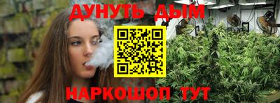 индика Партизанск