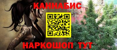 индика Партизанск