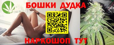 индика Партизанск