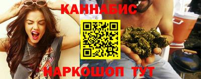 индика Партизанск