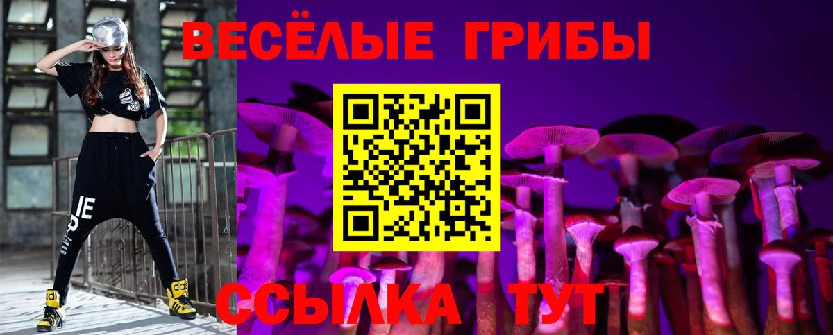 Псилоцибиновые грибы прущие грибы Сергиев Посад