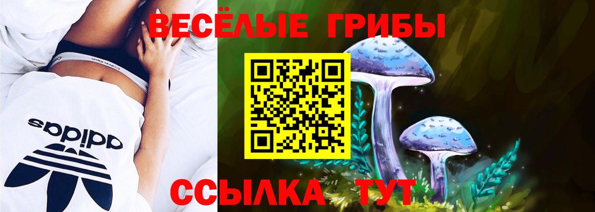Галлюциногенные грибы Magic Shrooms  Вход с VPN  Псилоцибиновые грибы Psilocybine cubensis  Сергиев Посад 